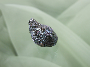 �Z�\�܁@�R���C�T