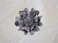 ���܁@�y�m�c�Ǝq