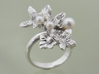 �����O����D�G�� ���т�����